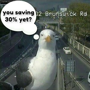 BUNDLE 2 OR MORE ITEMS IN MY CLOSET & SAVE!